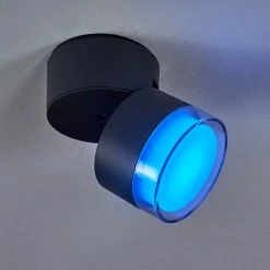 Hofstein Papagayos Außendeckenleuchte LED Anthrazit, Weiß, 1-flammig, Farbwechsler -Smart Home Innenleuchten Verkäufe papagayos aussendeckenleuchte h3417607 8