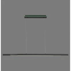 Paul Neuhaus Q-Serie Paul Neuhaus Q-ARIAN Pendelleuchte LED Anthrazit, 4-flammig, Fernbedienung -Smart Home Innenleuchten Verkäufe paul neuhaus q arian pendelleuchte 2569 13 11