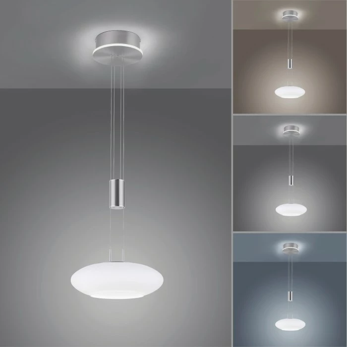 Paul Neuhaus Q-Serie Paul Neuhaus Q-ETIENNE Pendelleuchte LED Stahl gebürstet, 2-flammig, Fernbedienung 4 Paul Neuhaus Q-Serie Paul Neuhaus Q-ETIENNE Pendelleuchte LED Stahl gebürstet, 2-flammig, Fernbedienung – Bild 4