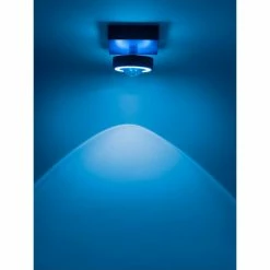 Paul Neuhaus Q-Serie Paul Neuhaus Q-MIA Deckenleuchte LED Anthrazit, 1-flammig, Fernbedienung -Smart Home Innenleuchten Verkäufe paul neuhaus q mia deckenleuchte 9186 13 13