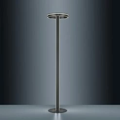 Paul Neuhaus Leuchten Paul Neuhaus Q-VITO Stehleuchte LED Anthrazit, 3-flammig, Fernbedienung -Smart Home Innenleuchten Verkäufe paul neuhaus q vito stehleuchte 618 13 6