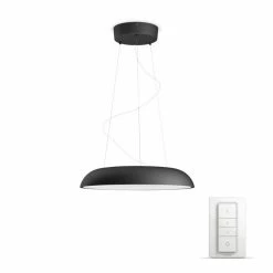 Philips Leuchten Philips Hue Ambiance White Amaze Pendelleuchte LED Schwarz, 1-flammig, Fernbedienung