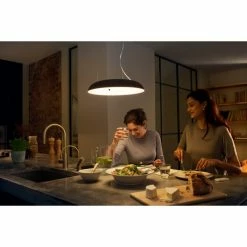 Philips Leuchten Philips Hue Ambiance White Amaze Pendelleuchte LED Schwarz, 1-flammig, Fernbedienung -Smart Home Innenleuchten Verkäufe philips hue ambiance white amaze pendelleuchte 8718696175163 2