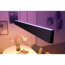 Philips Leuchten Philips Hue White & Color Ambiance Ensis Pendelleuchte LED Schwarz, 2-flammig, Farbwechsler -Smart Home Innenleuchten Verkäufe philips hue white color ambiance ensis pendelleuchte 8719514343368 6