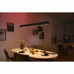 Philips Leuchten Philips Hue White & Color Ambiance Ensis Pendelleuchte LED Schwarz, 2-flammig, Farbwechsler -Smart Home Innenleuchten Verkäufe philips hue white color ambiance ensis pendelleuchte 8719514343368 8
